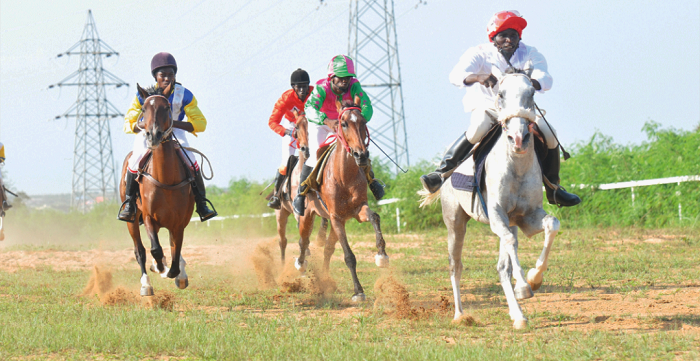 Horse racing as a sport. Can Ghana take the challenge?